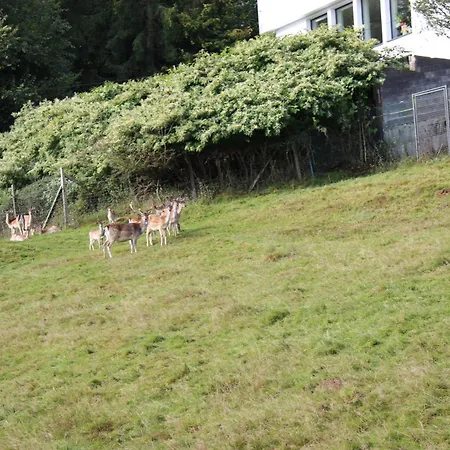 Villa-maru 80qm Lindlar