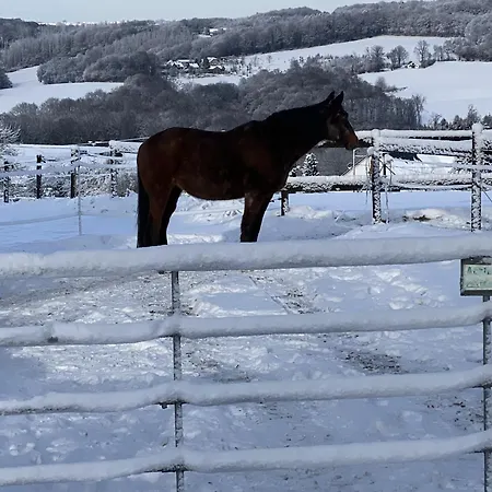 Villa-maru 80qm * Lindlar