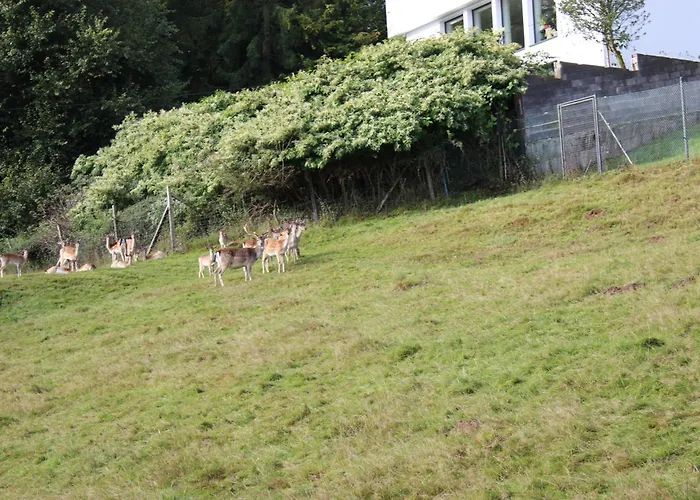 Villa-maru 80qm Lindlar