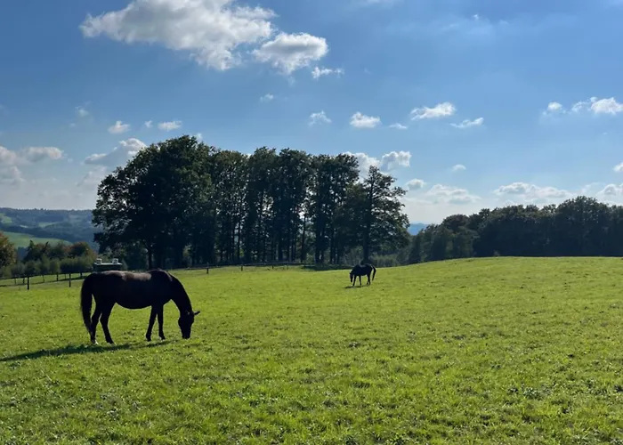 Villa-maru 80qm Lindlar