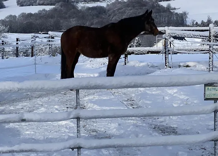 Villa-maru 80qm * Lindlar